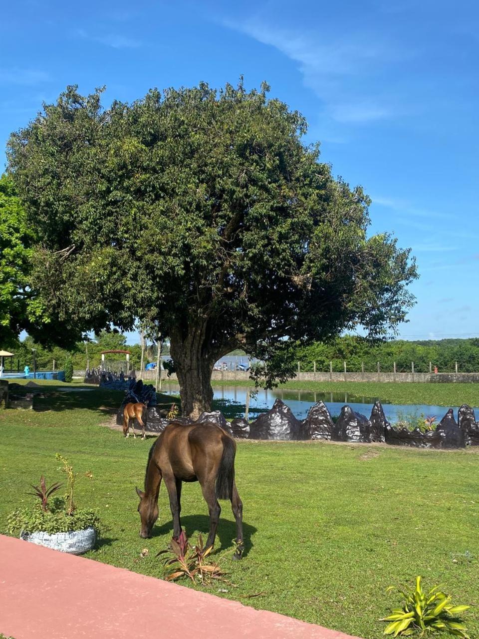 Pousada Marajoara- Hotel Fazenda-Turismo De Aventura Soure Εξωτερικό φωτογραφία