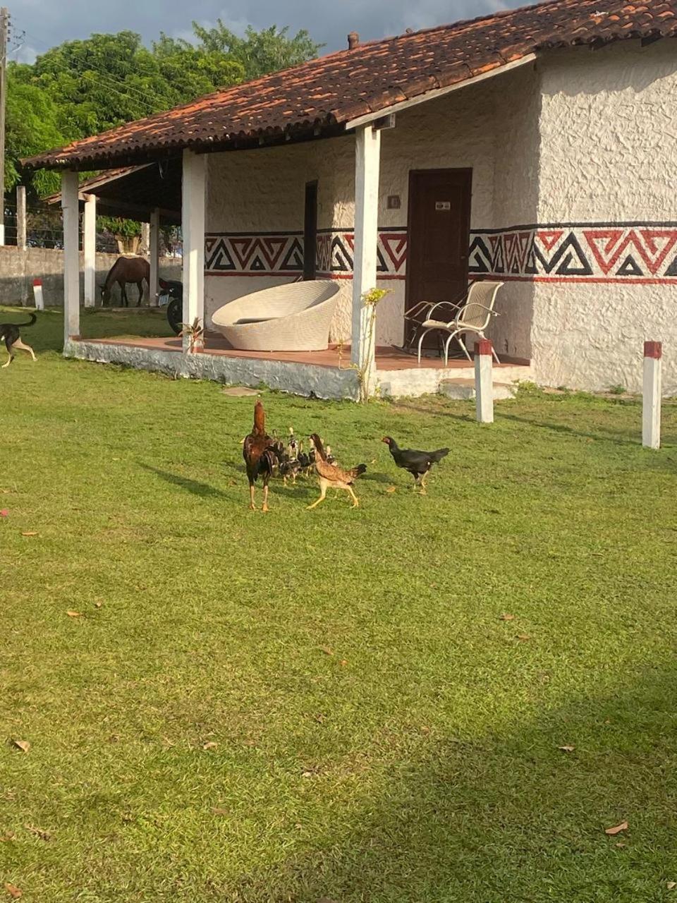 Pousada Marajoara- Hotel Fazenda-Turismo De Aventura Soure Εξωτερικό φωτογραφία